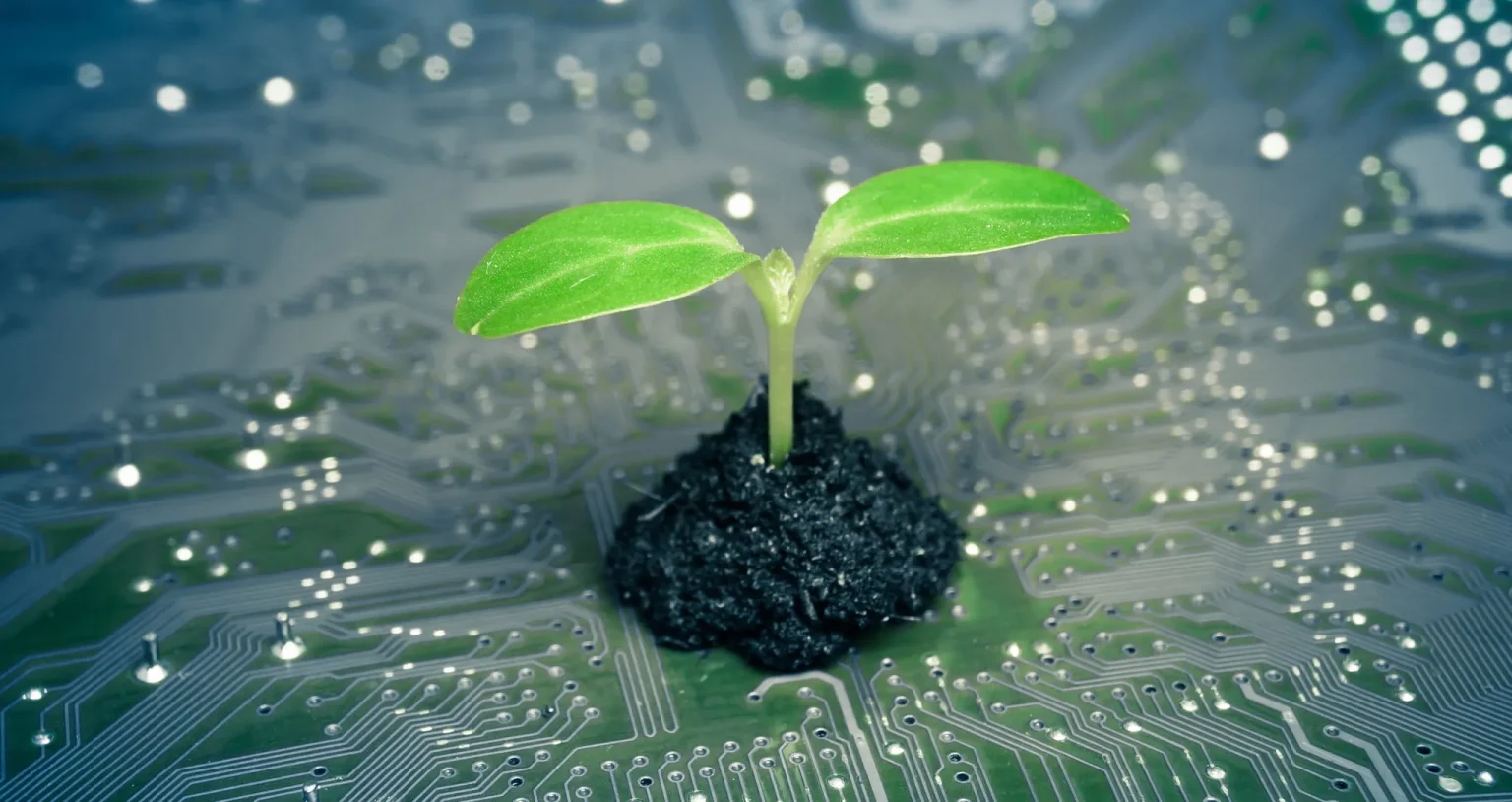 Green computing technology as the backbone of sustainable digital innovation